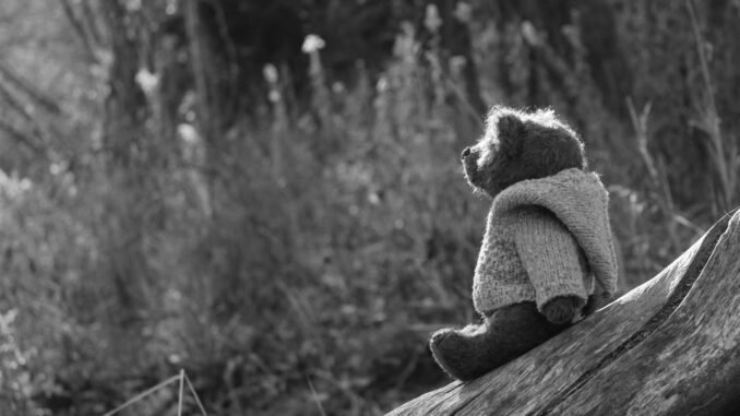 Black and white teddy bear on a log in the woods, symbolising sobriety and emotional healing.
